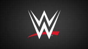 Motivo por el que WWE ha reducido el número de combates en los PLE