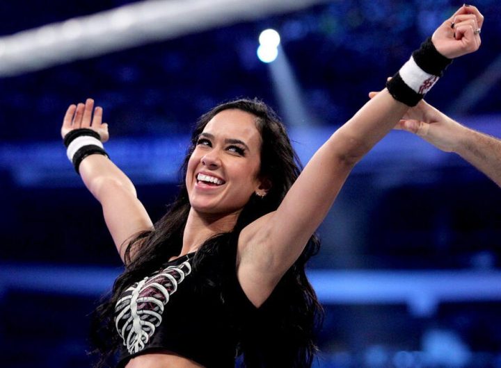 Creencia de que el posible regreso de AJ Lee en SummerSlam 2025 podría estar a la altura del de CM Punk
