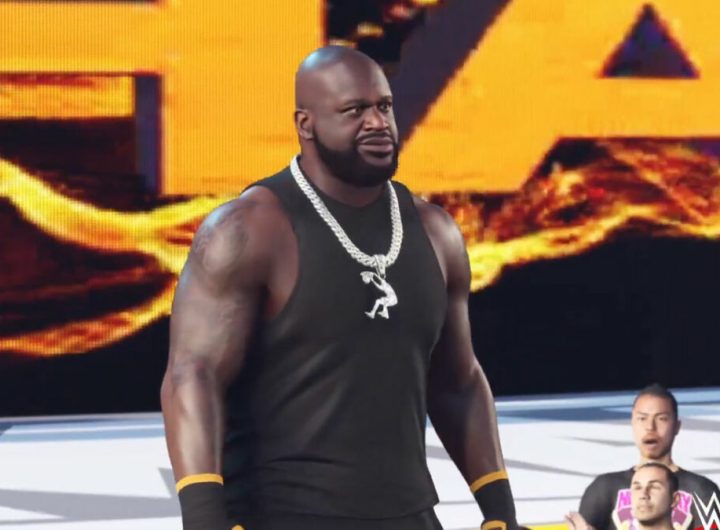 Dunk & Destruction Pack de WWE 2K25